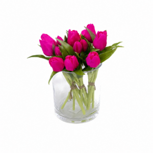 fucsia