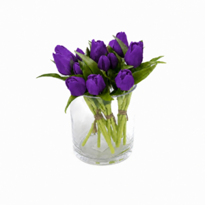 viola
